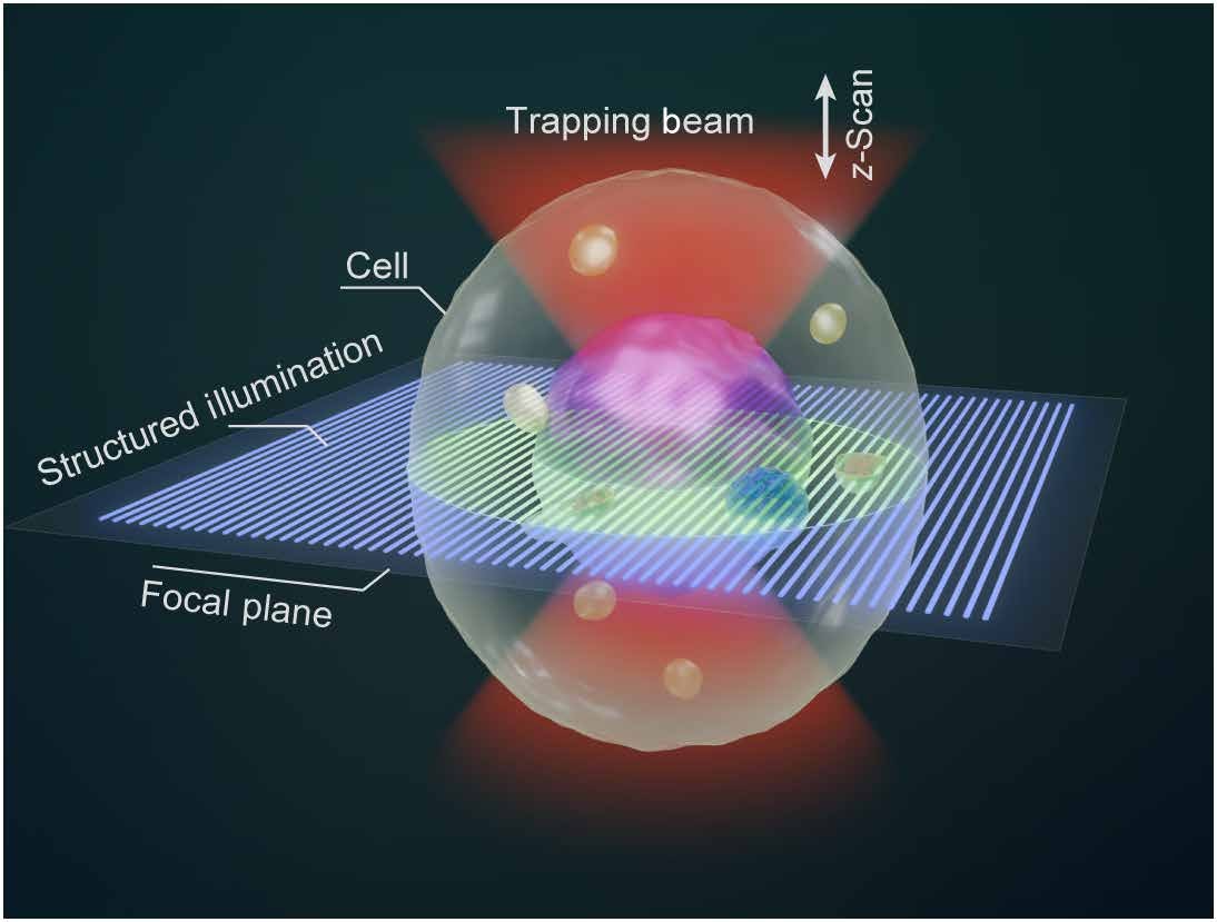 Researchers Develop OTSM for 3D Imaging of Floating Live Cells